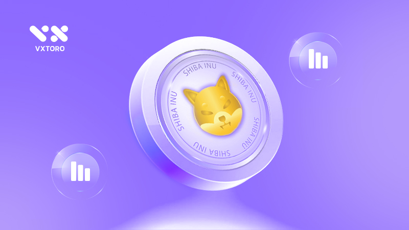 Shiba coin