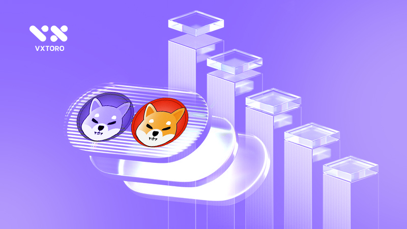 Shiba Inu price prediction for 2030