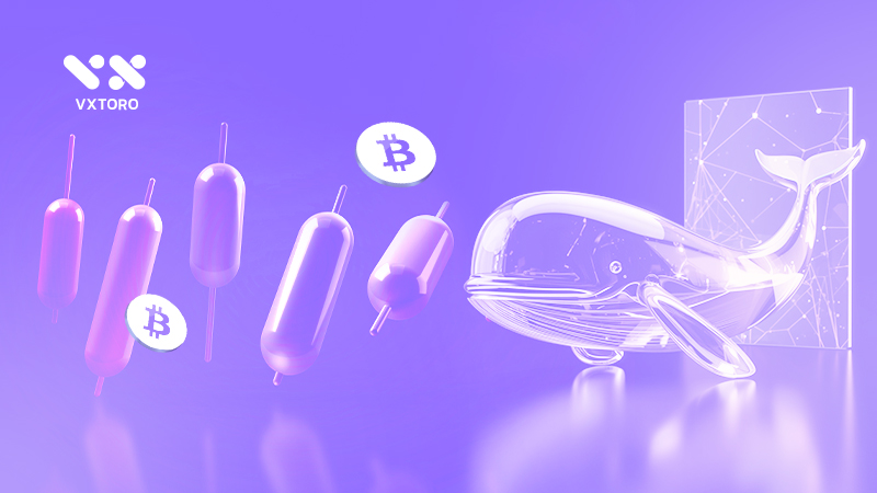 Bitcoin whales behavior