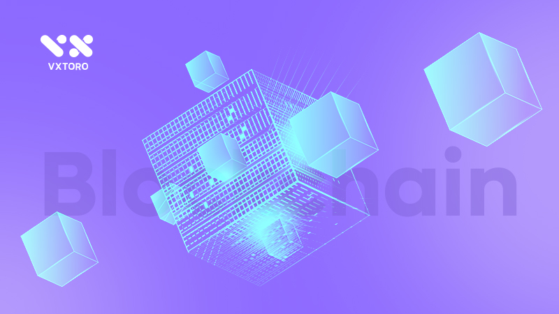 How to be a blockchain node?